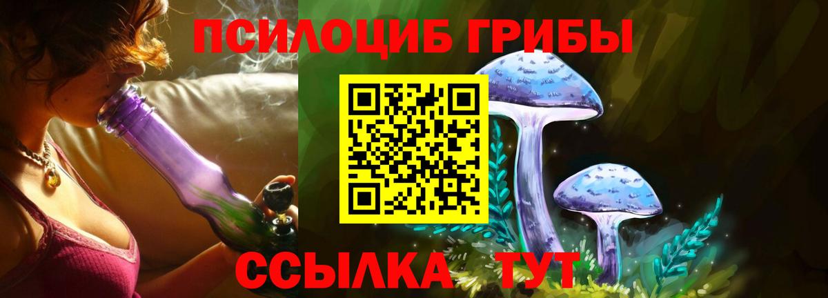 Галлюциногенные грибы Cubensis Алапаевск